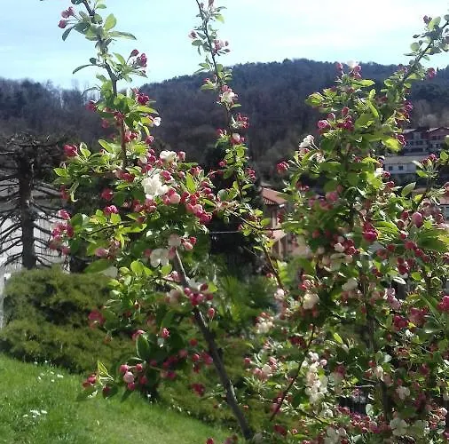 Sari Bed and Breakfast